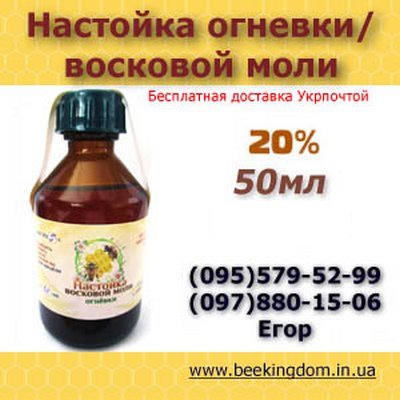 Применение огневки при герпесе